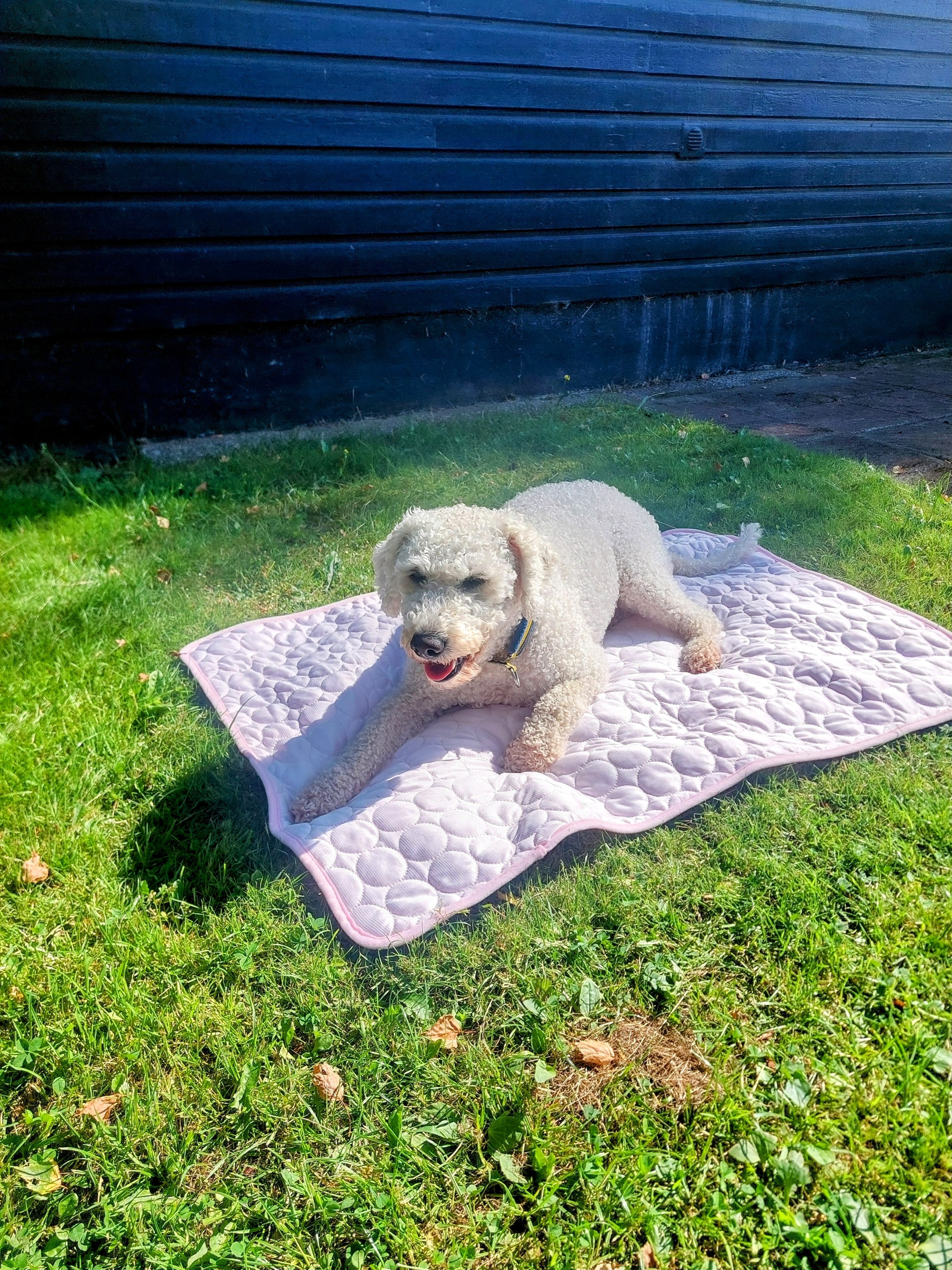 Perfekta kylfilten som hunden VILL ligga på!