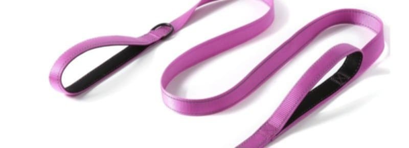 Perfekta hundkopplet med 2 handtag!