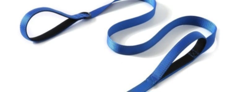 Perfekta hundkopplet med 2 handtag!