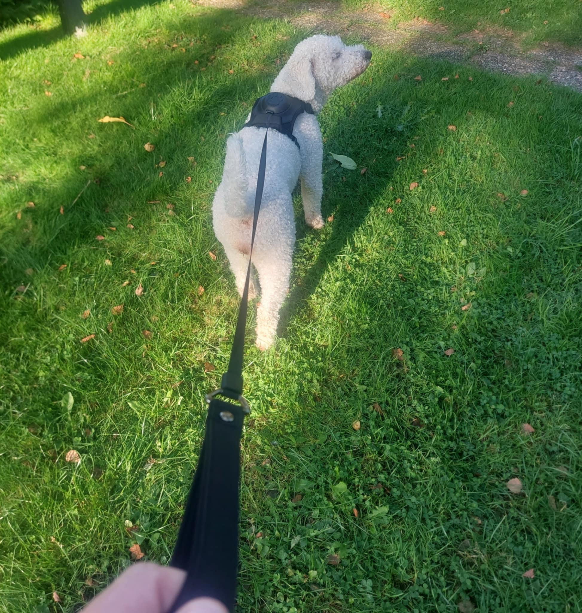 Sele o koppel i ett!