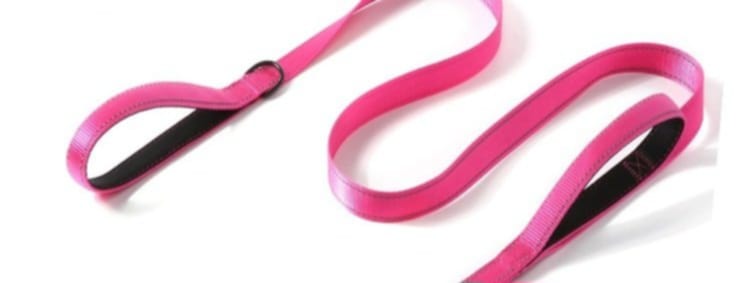 Perfekta hundkopplet med 2 handtag!